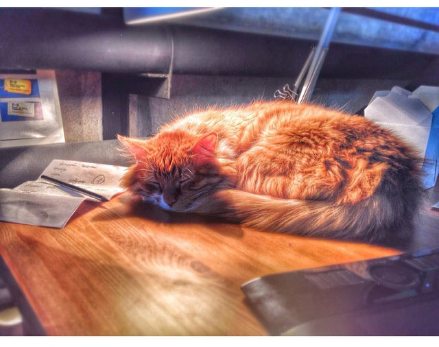 metro navigation process 2 33