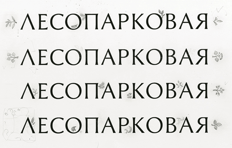 lesoparkovaya process 05