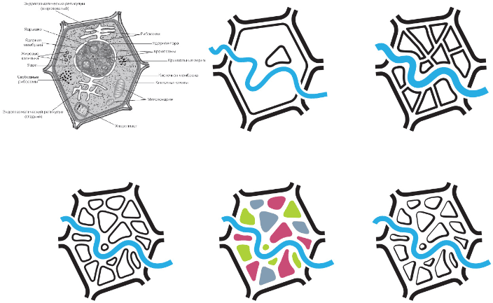 genplan logo process 09