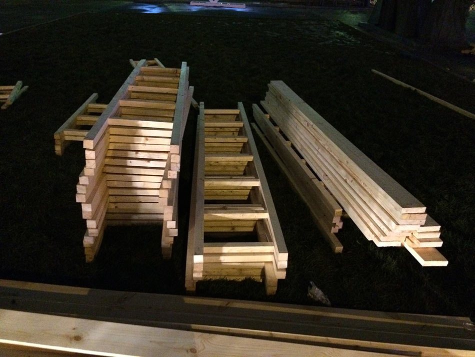 muzeon tree process 15