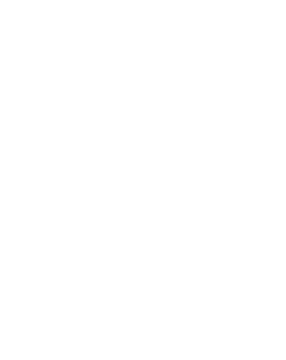 napike logo