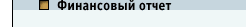 Финансовый отчет