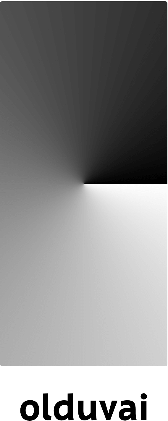 olduvai process 24
