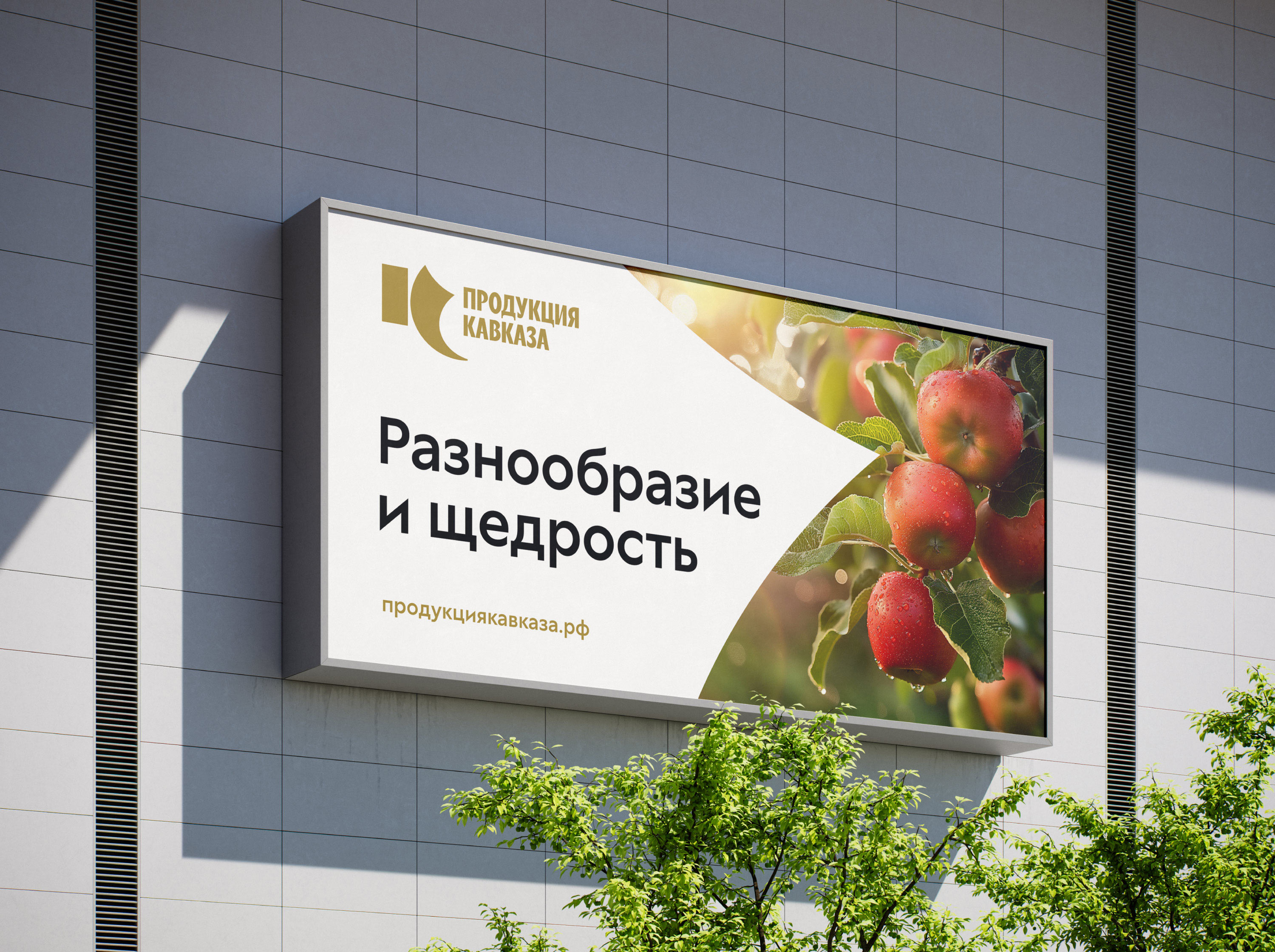 produktsiya kavkaza ad
