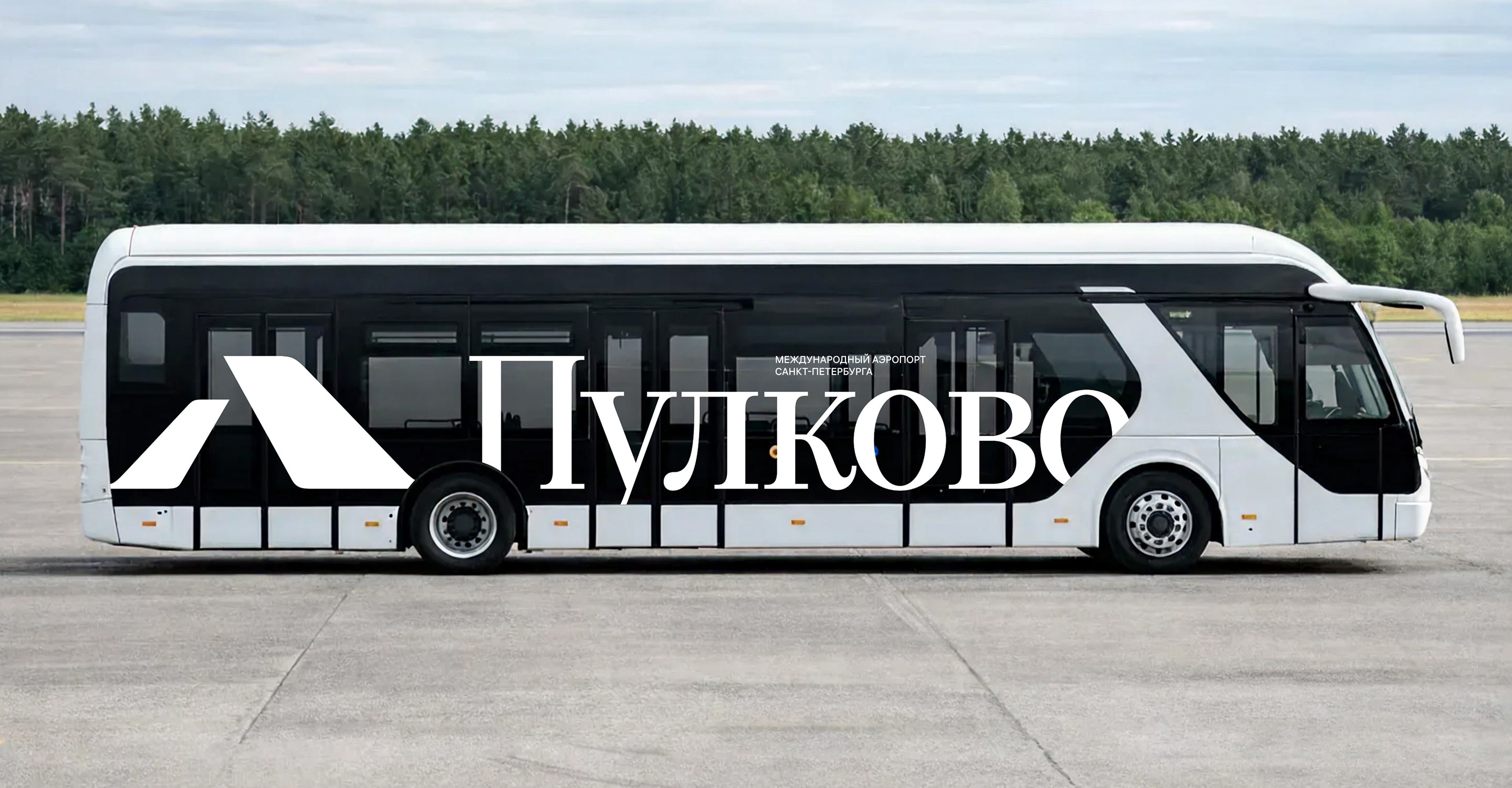 pulkovo logo2 bus