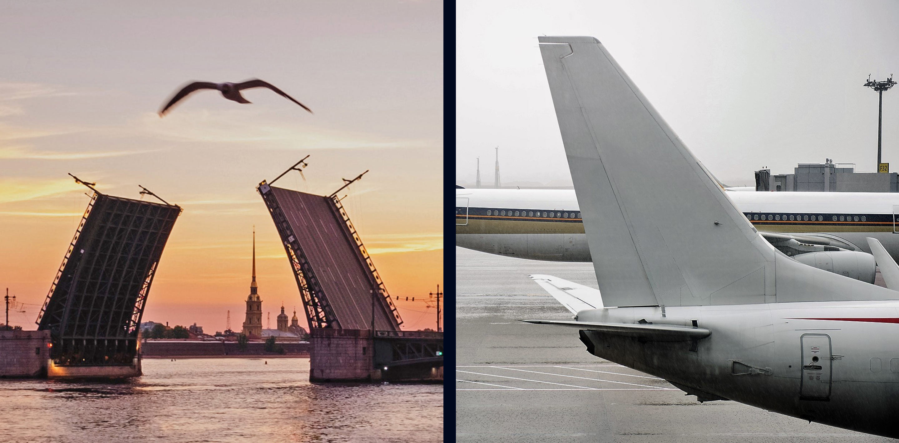 pulkovo logo2 elements