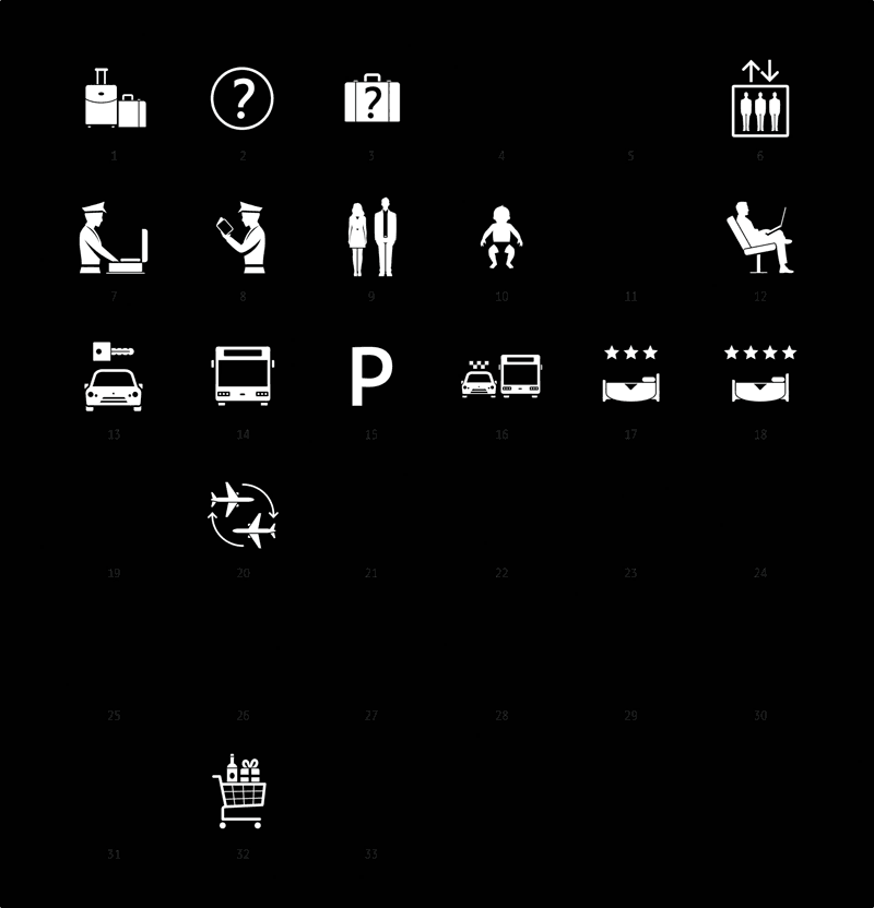 pulkovo navigation process icons 18
