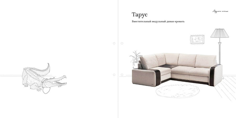 pushe catalogue process 82