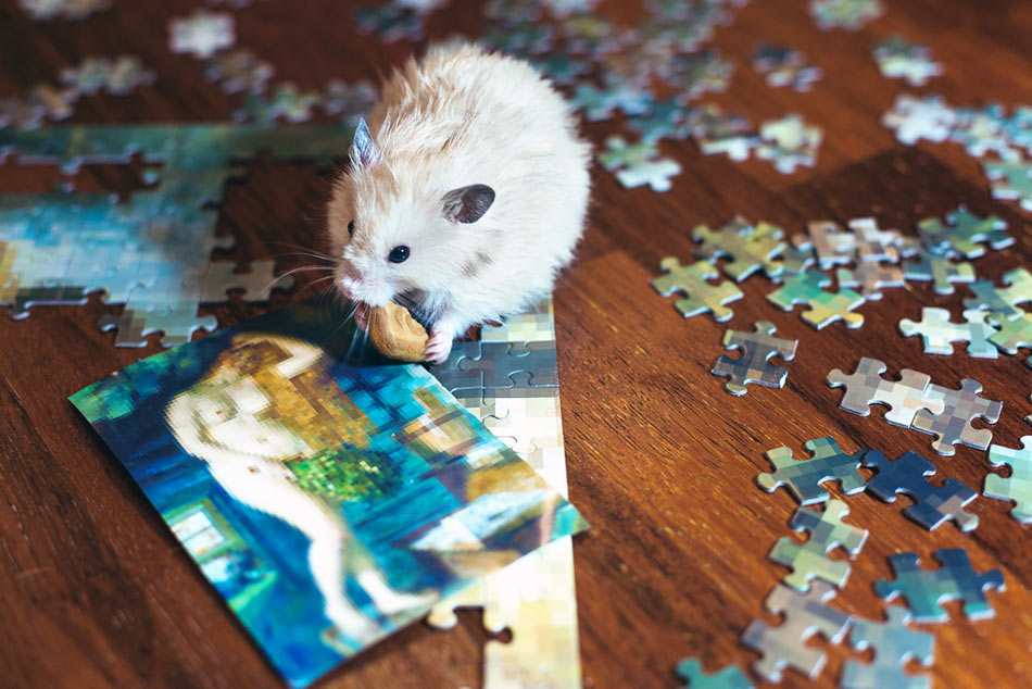 puzzlus pixelus russkaya venera life