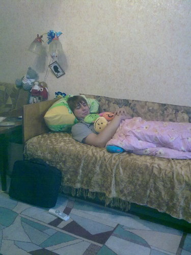 ridibundus int life trehgornyi