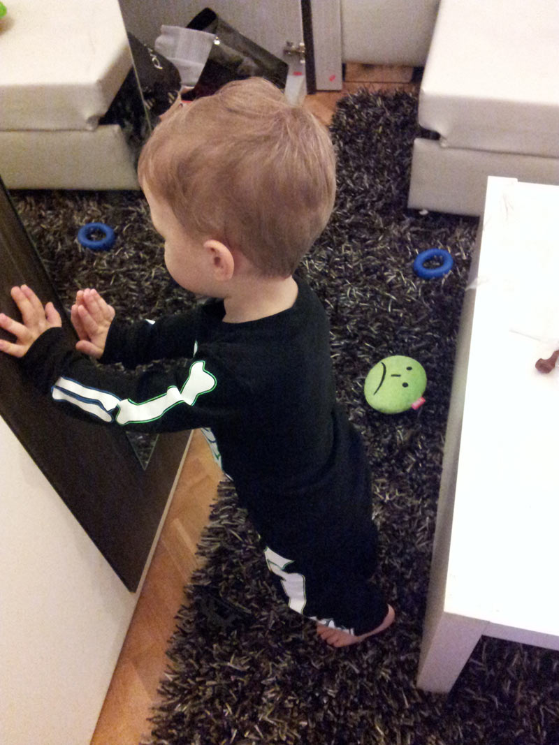 ridibundus int life hungary