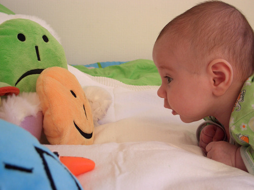 ridibundus int life moscow