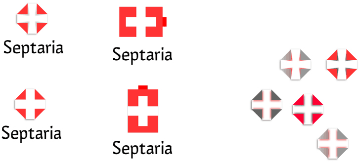 septaria logo process 03