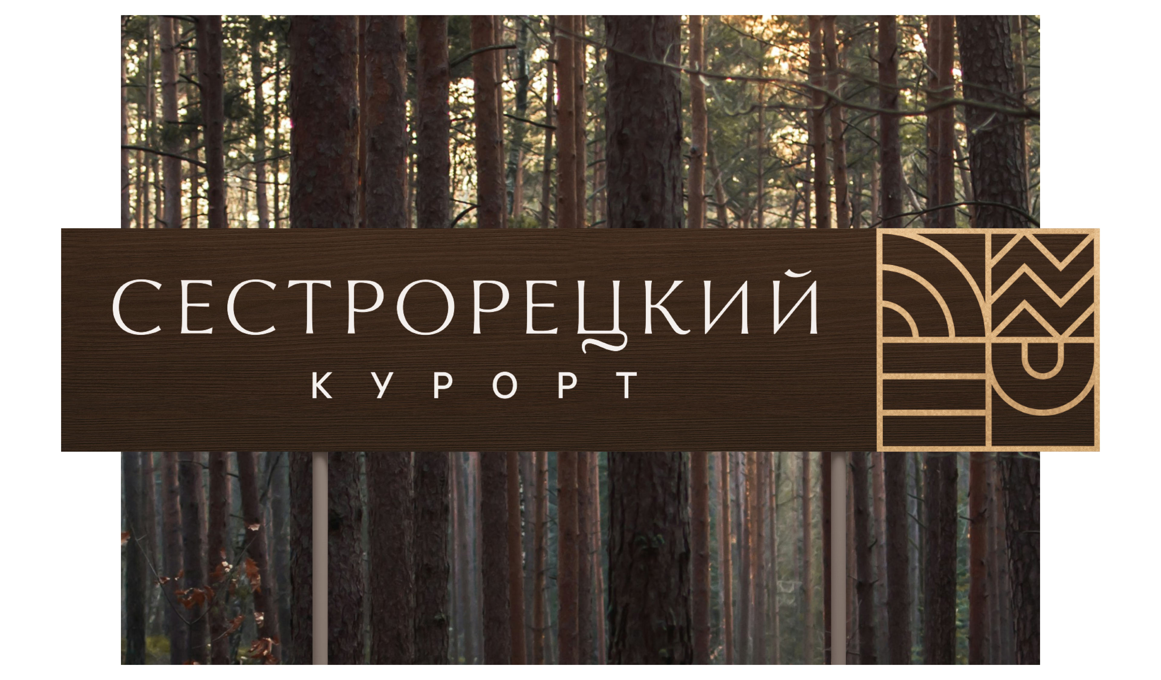 sestoretsky navigation intro