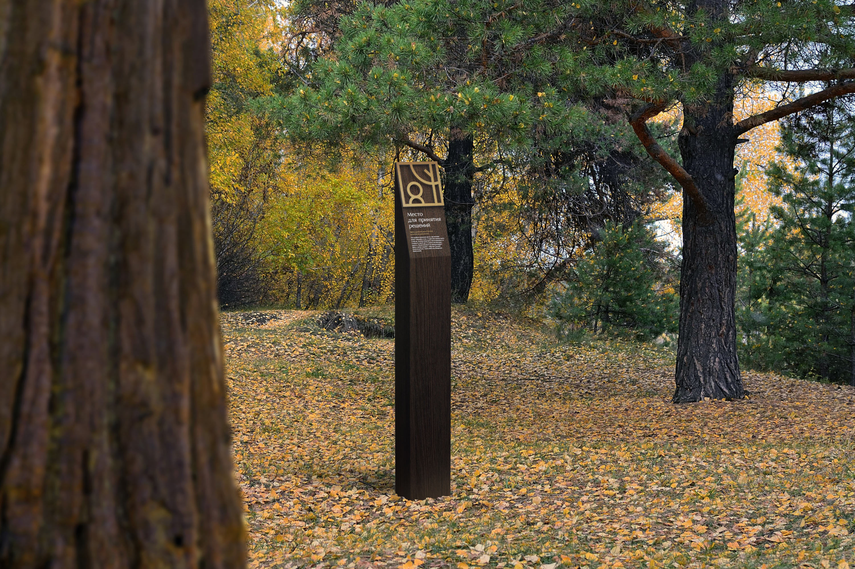 sestoretsky navigation woods