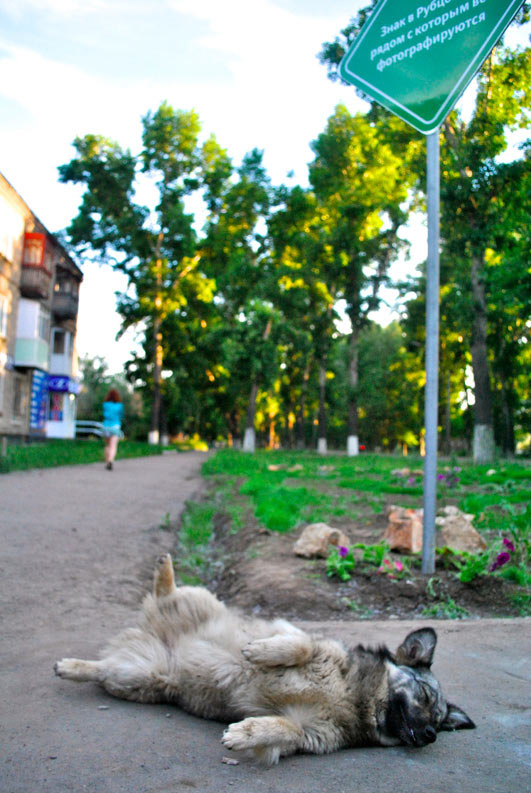 sign rubtsovsk life 05