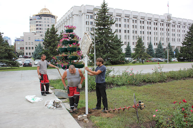 sign samara process 3