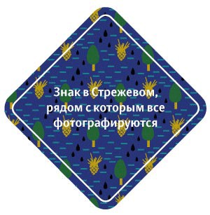 sign strezhevoy process 03