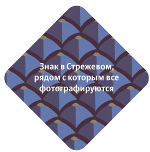 sign strezhevoy process 05