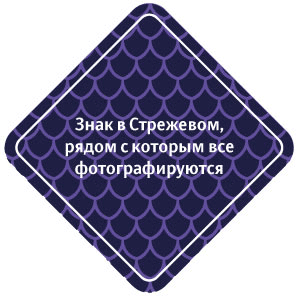 sign strezhevoy process 08