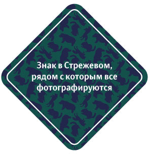 sign strezhevoy process 11