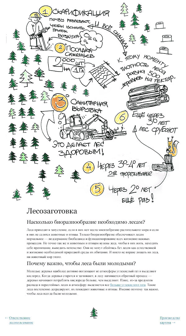 tetrapak site process 06