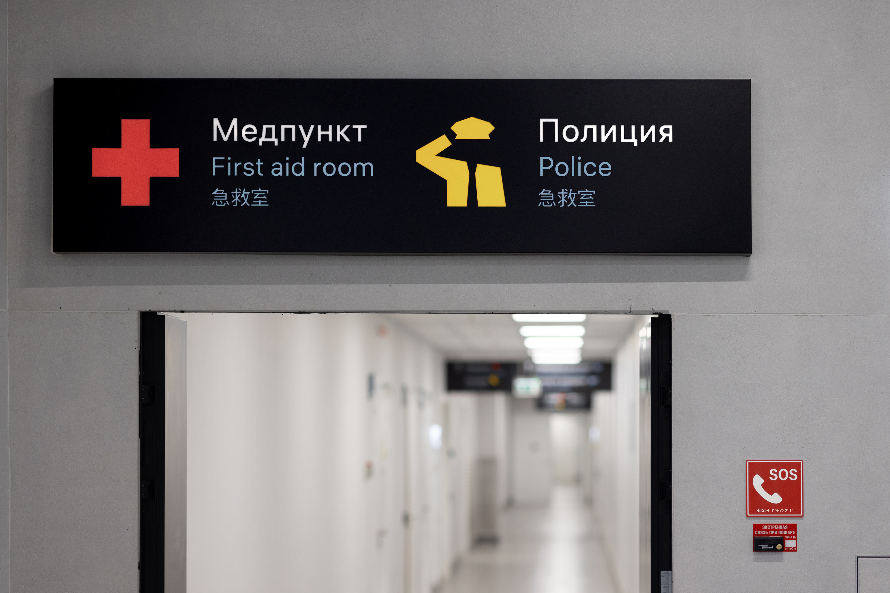 tolmachevo navigation 11