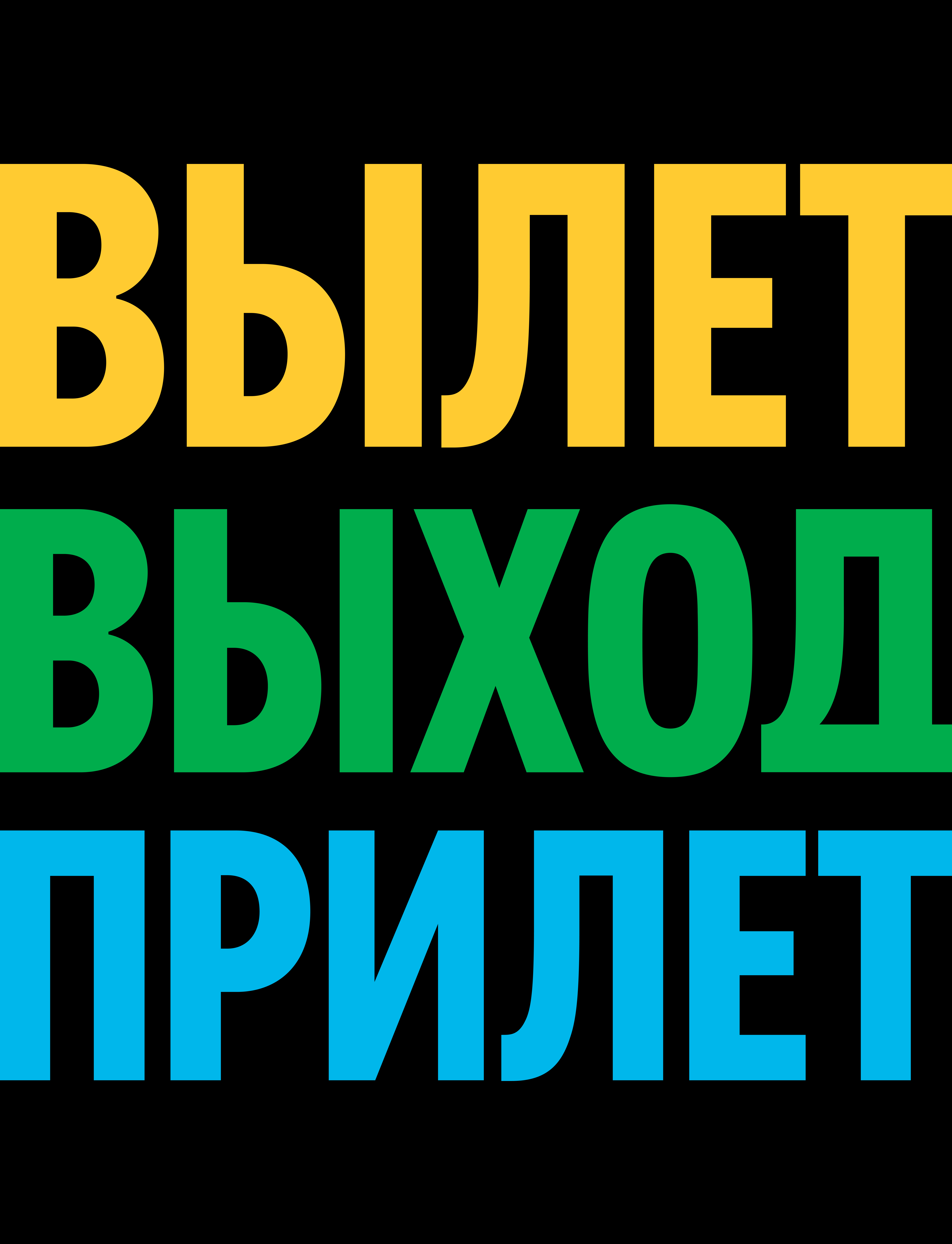 tolmachevo navigation signs 02