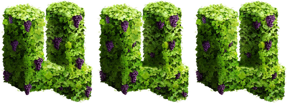 ts graphic process 07