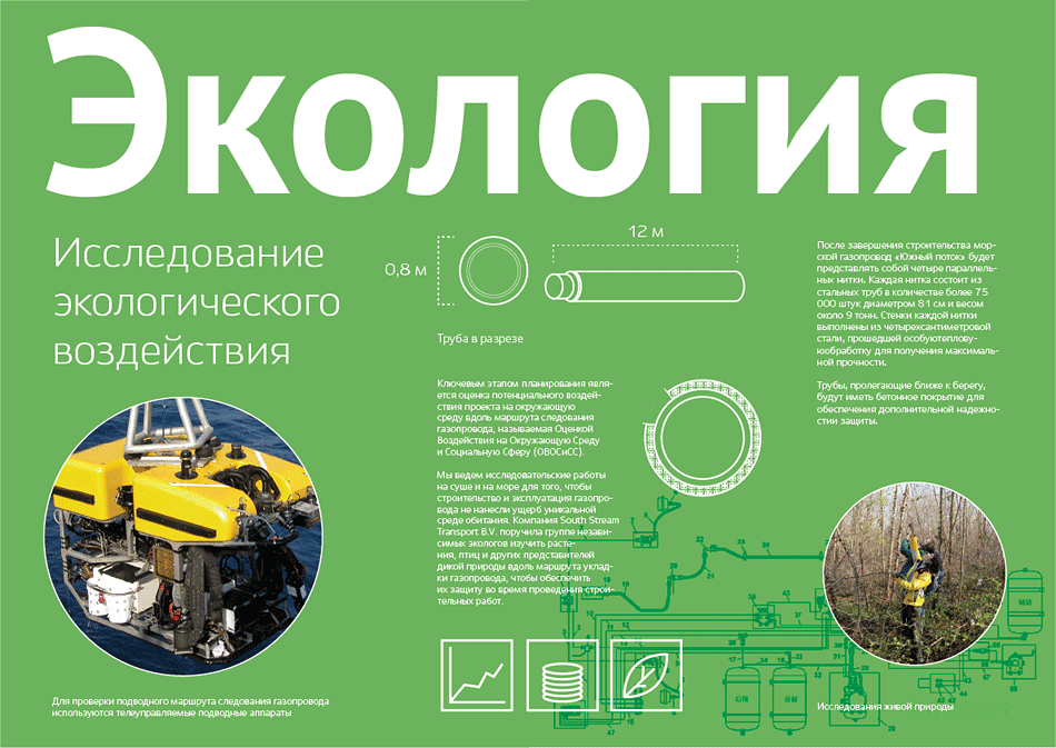 ts graphic process 48