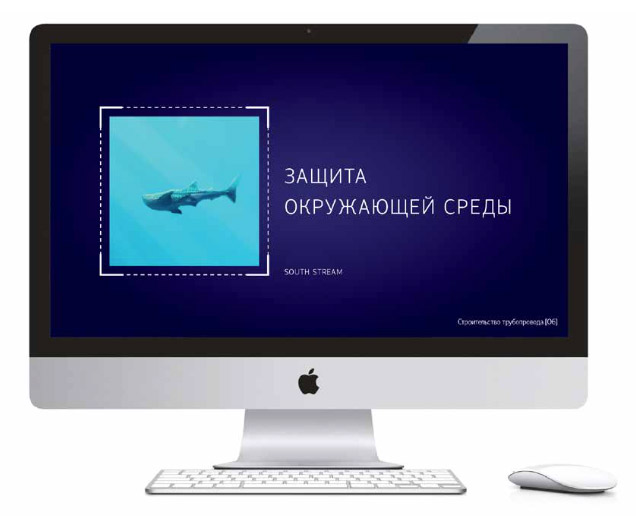 ts graphic process 60