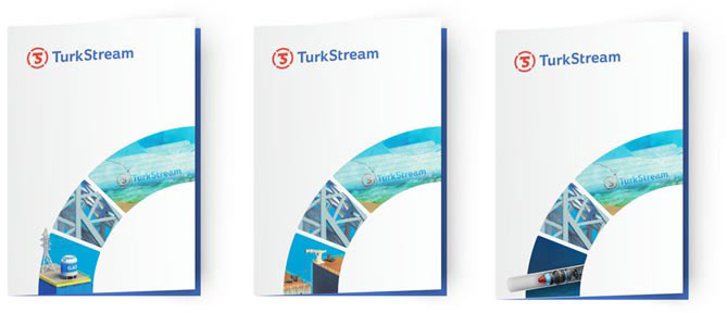 turkish stream identity process 45