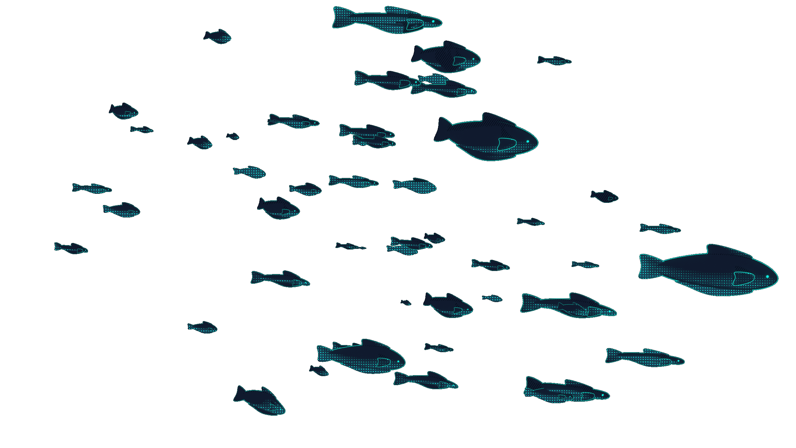 interface fishes flips