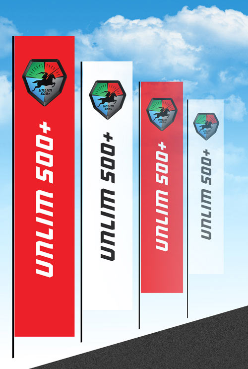 unlim500 logo process 35