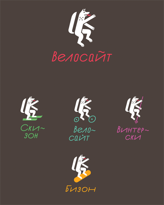 velosite identity process 06