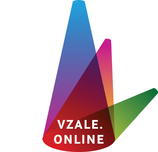 vzale logo