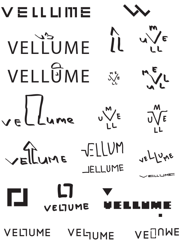 wellum process 1