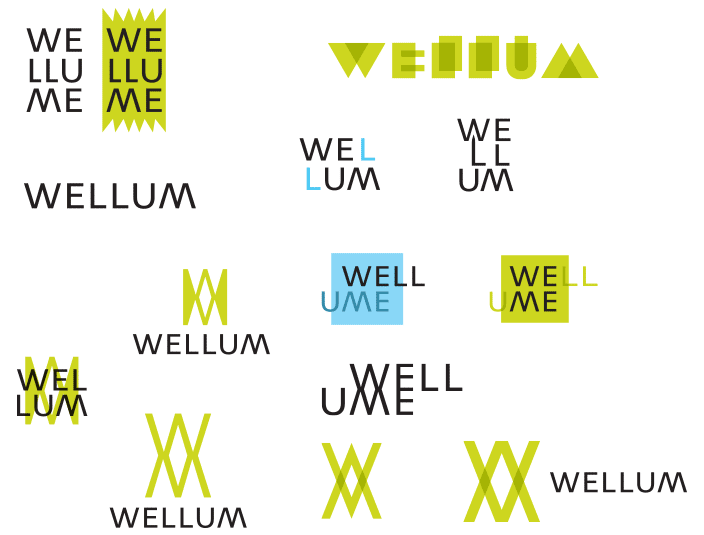 wellum process 20