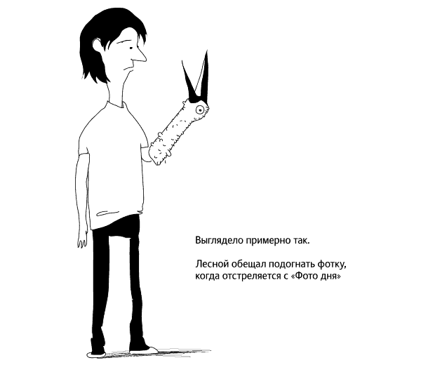 yakitoriya process sterkh